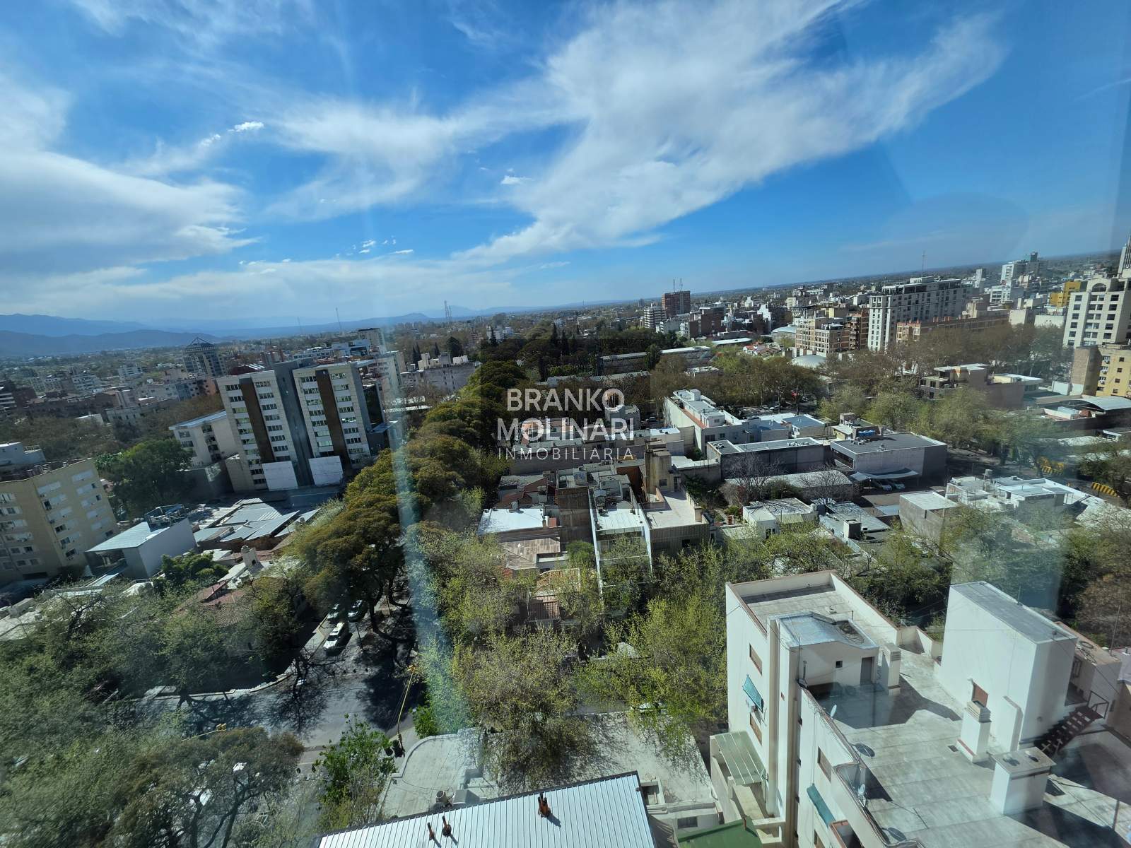 Imagen 13