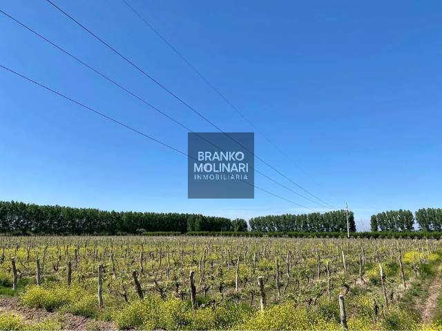 Finca en venta en RP24 199, lavalle