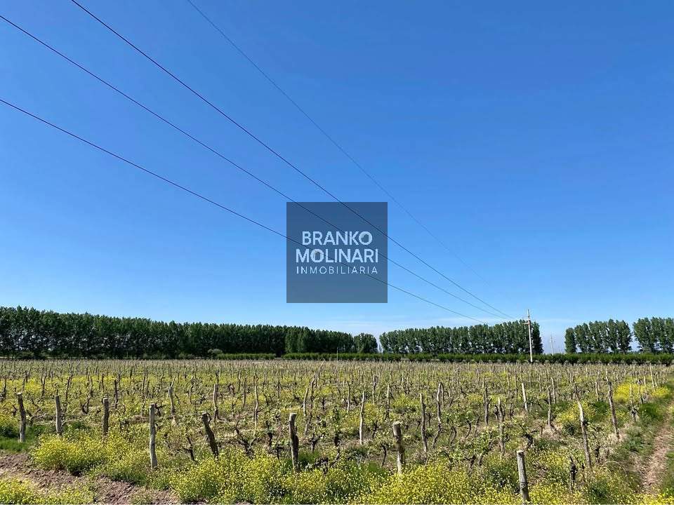 Campo en RP24 199, lavalle